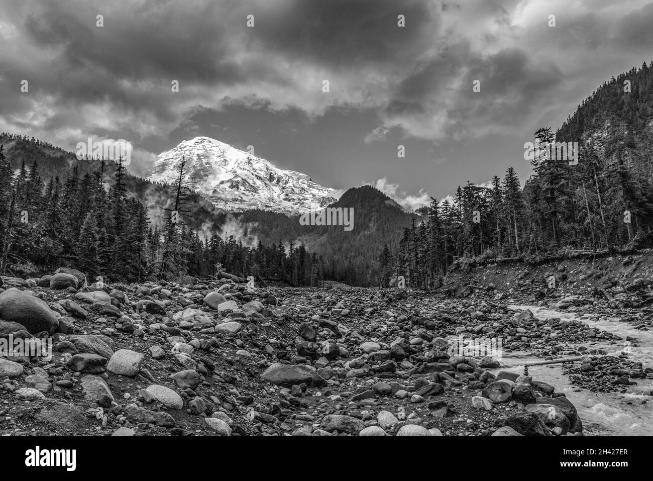 Superbe vue sur le Mont Rainier depuis la rivière Nisqually, États-Unis Banque D'Images