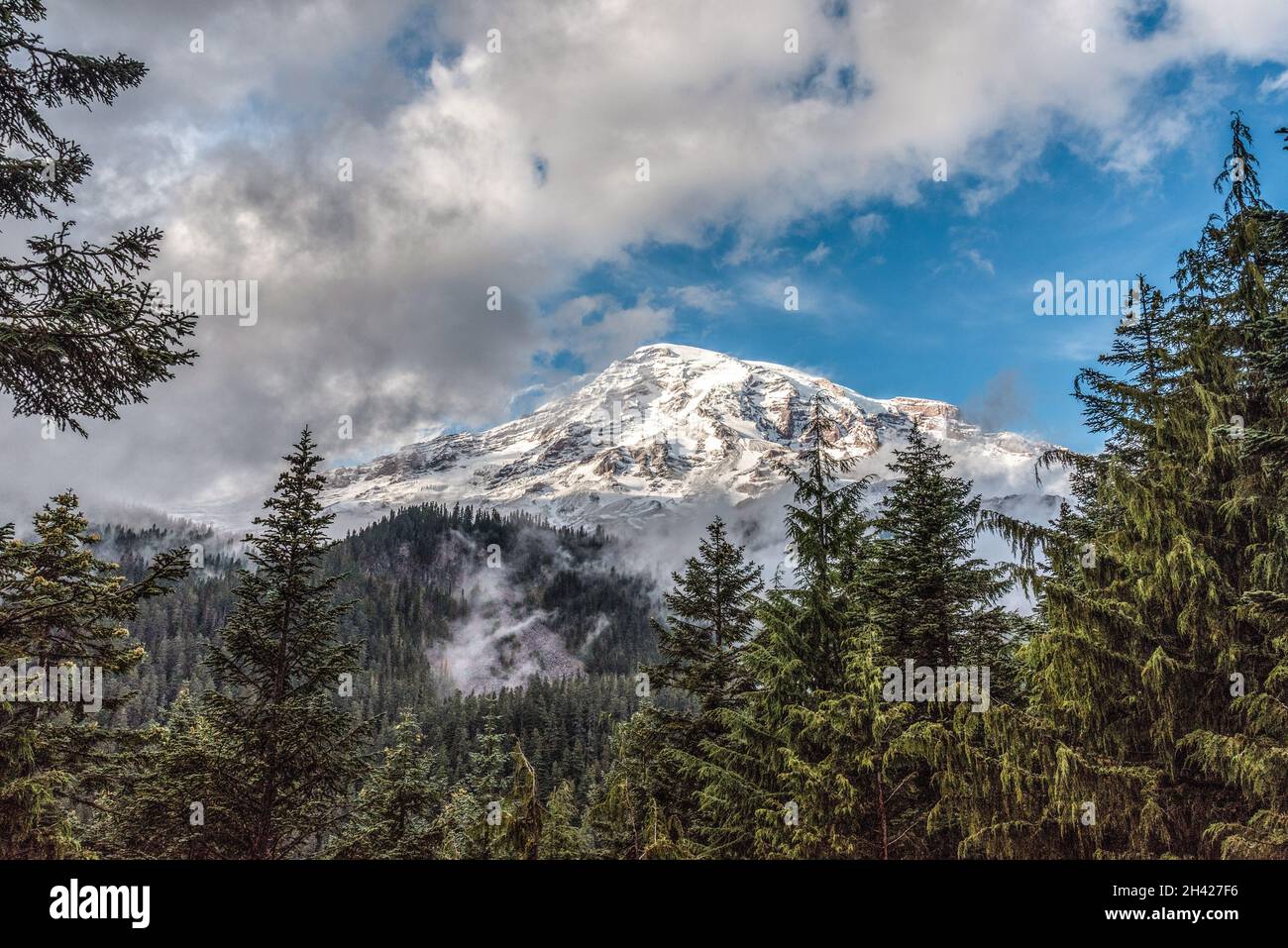Le Mont Rainier se cachant derrière les nuages, vu de la rivière Nisqually, États-Unis Banque D'Images