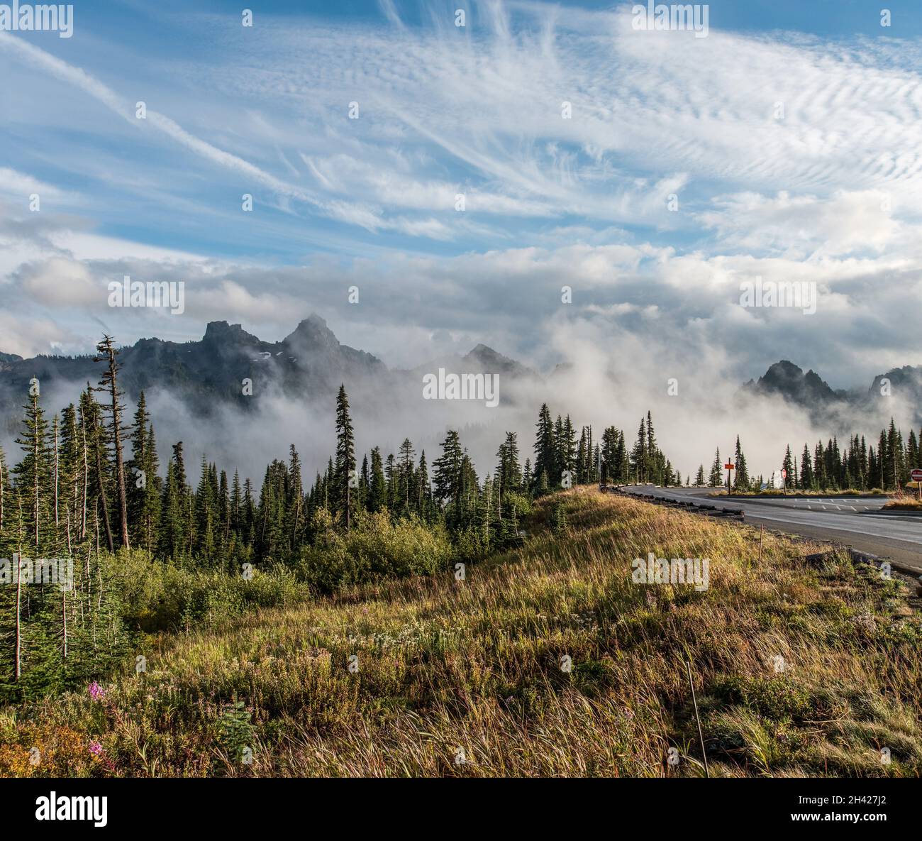 Grand paysage paradisiaque autour du parc national du Mont Rainier, États-Unis Banque D'Images