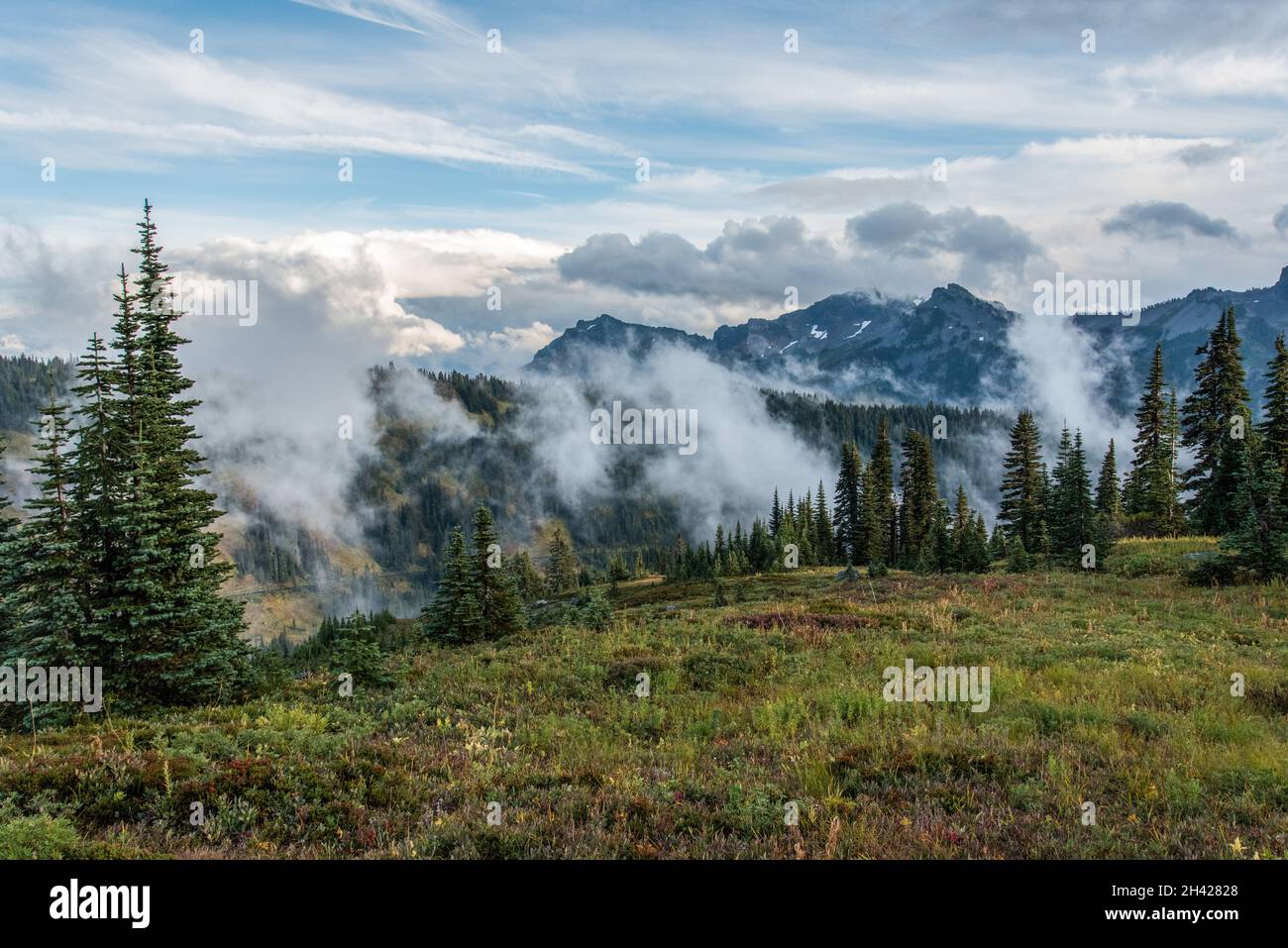 Vue sur le magnifique Mont Rainier depuis le sentier Paradise Vista, États-Unis Banque D'Images