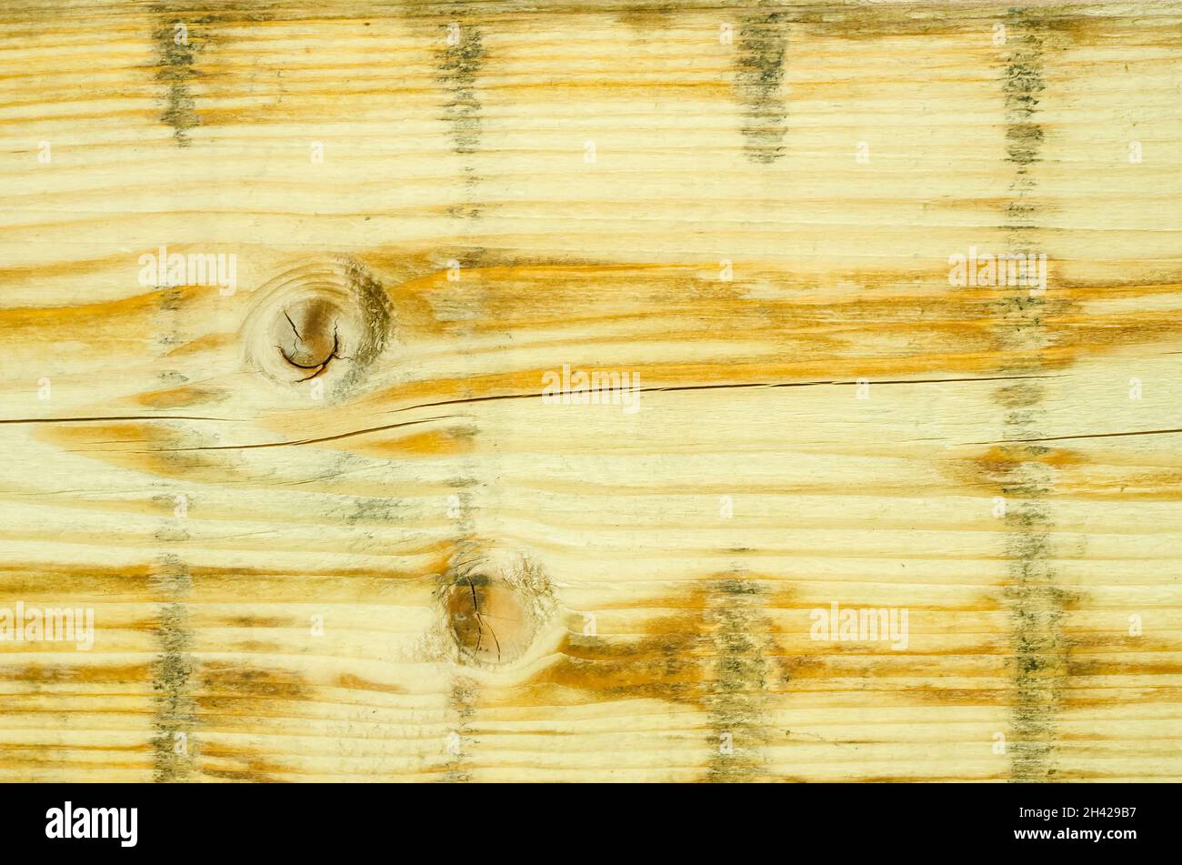 Panneaux de contreplaqué à texture de bois avec fond de teinte jaune gros  plan avec mise au point sélective Photo Stock - Alamy