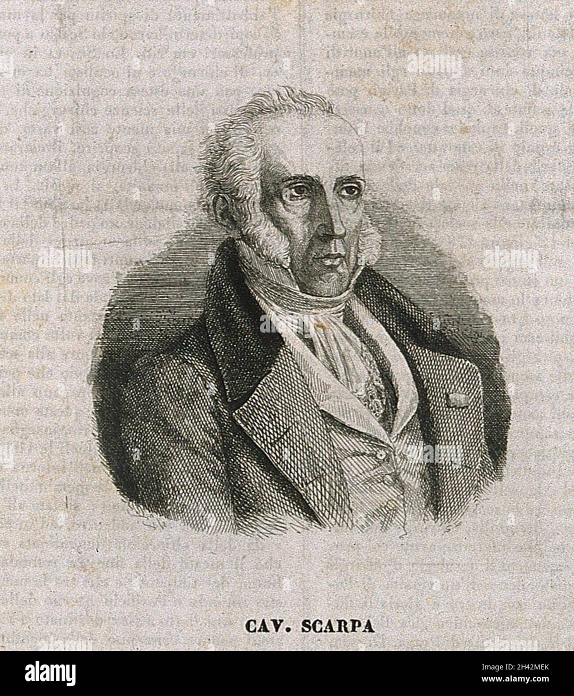 Antonio Scarpa.Gravure de ligne. Banque D'Images