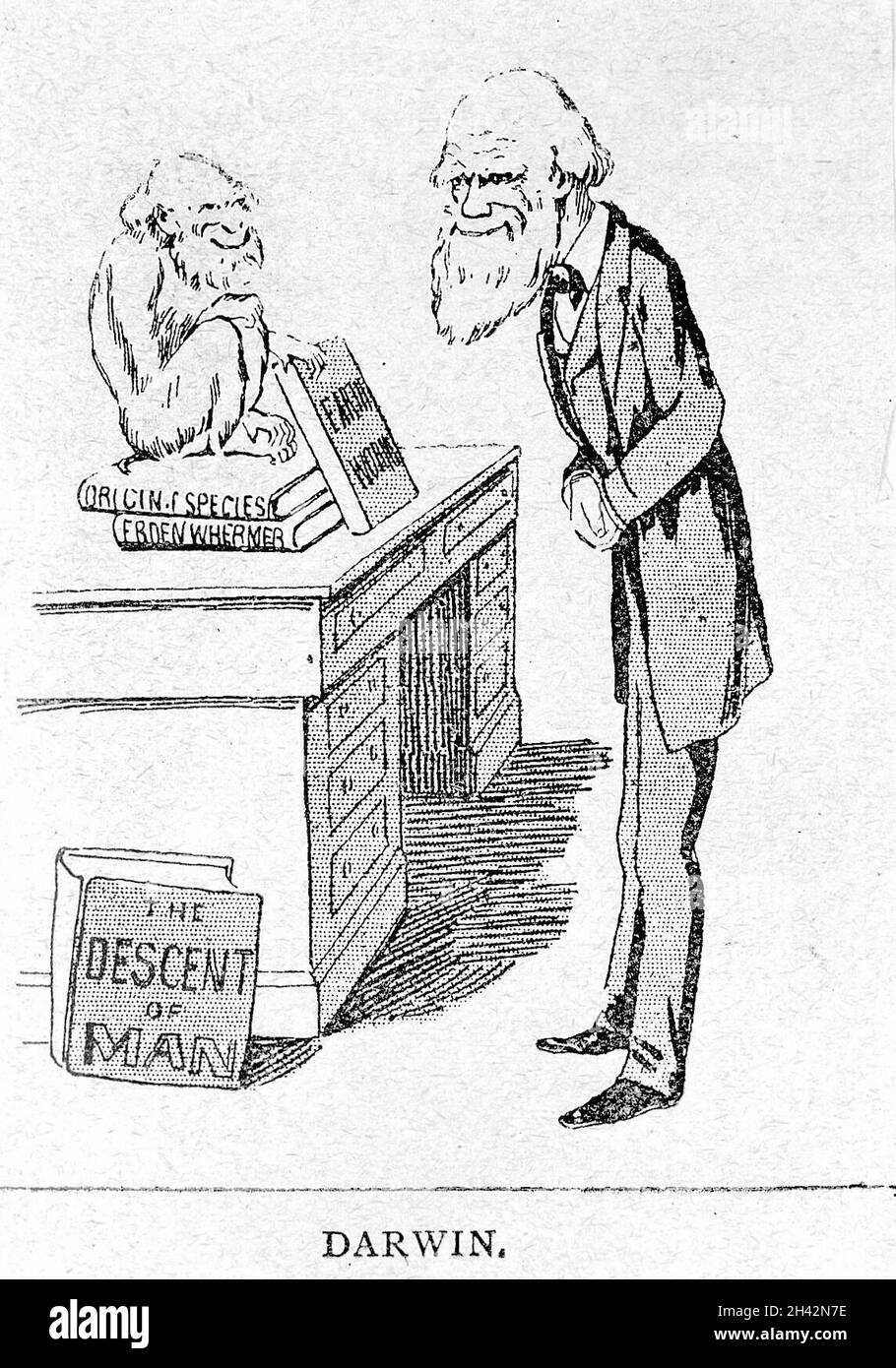 Charles Robert Darwin.Gravure de bois par Harry Furriss après son dessin. Banque D'Images