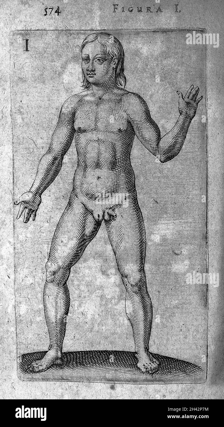 Hermaphrodite de Hermaphroditorum, 1614 Banque D'Images