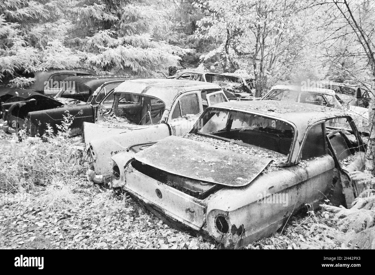 Cimetière de Bastnäs en octobre Banque D'Images