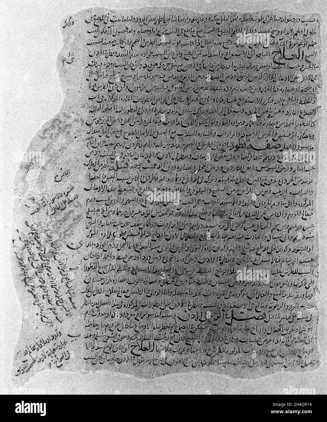 Manuscrit arabe: Al-Hawi (Continens), Rhazes Banque D'Images