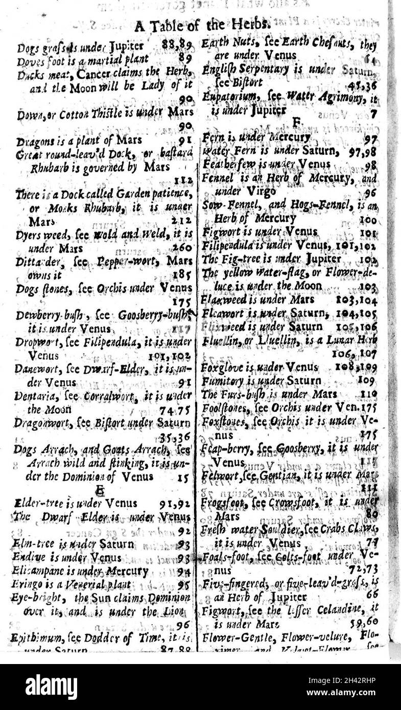 Index Dogs-Flower, XVIIe siècle Banque D'Images