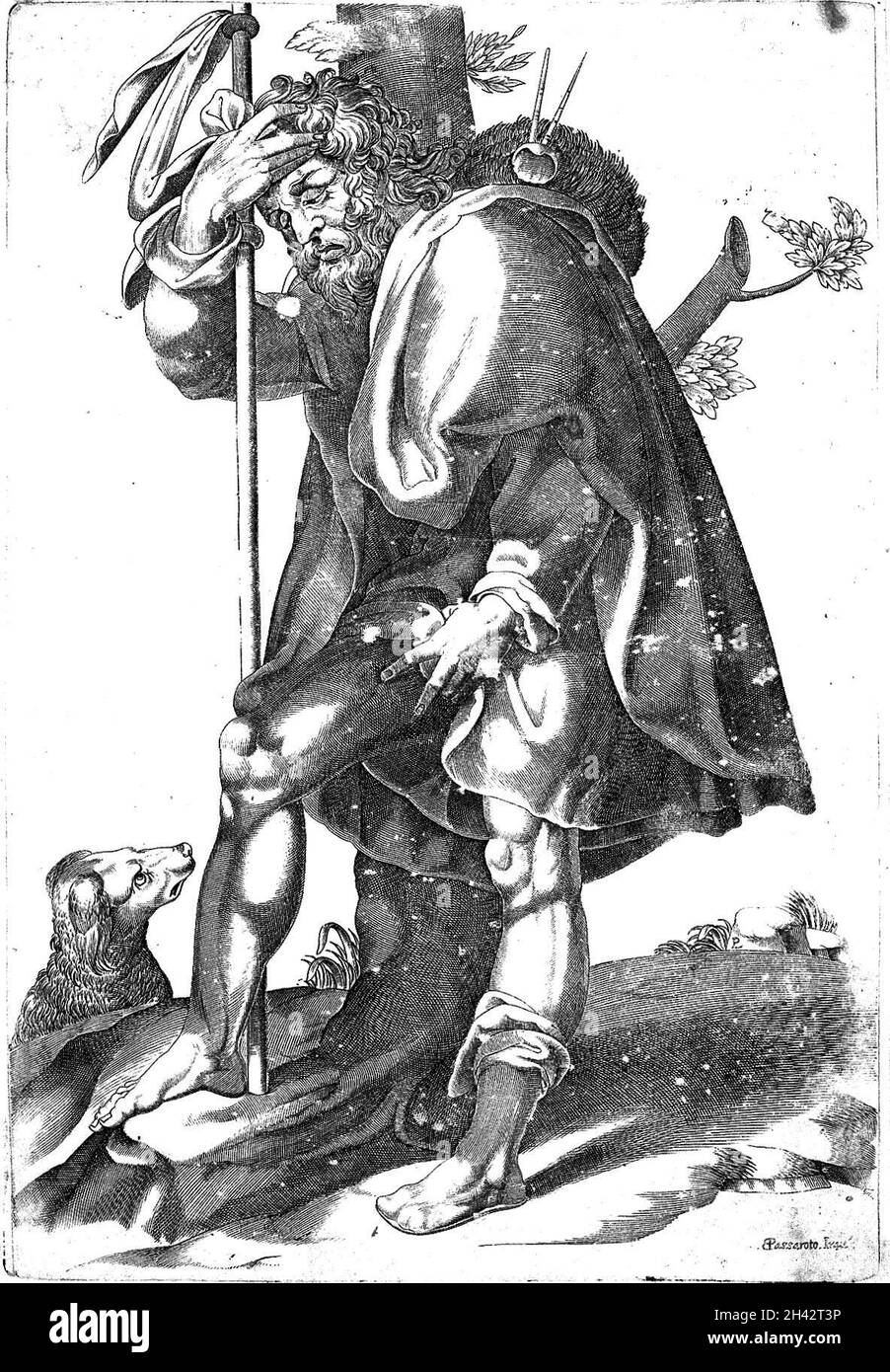 Saint Roch avec son chien, indiquant un bubo de peste sur son aine.Gravure de ligne par PL après B. Passarotti, ca.1580. Banque D'Images