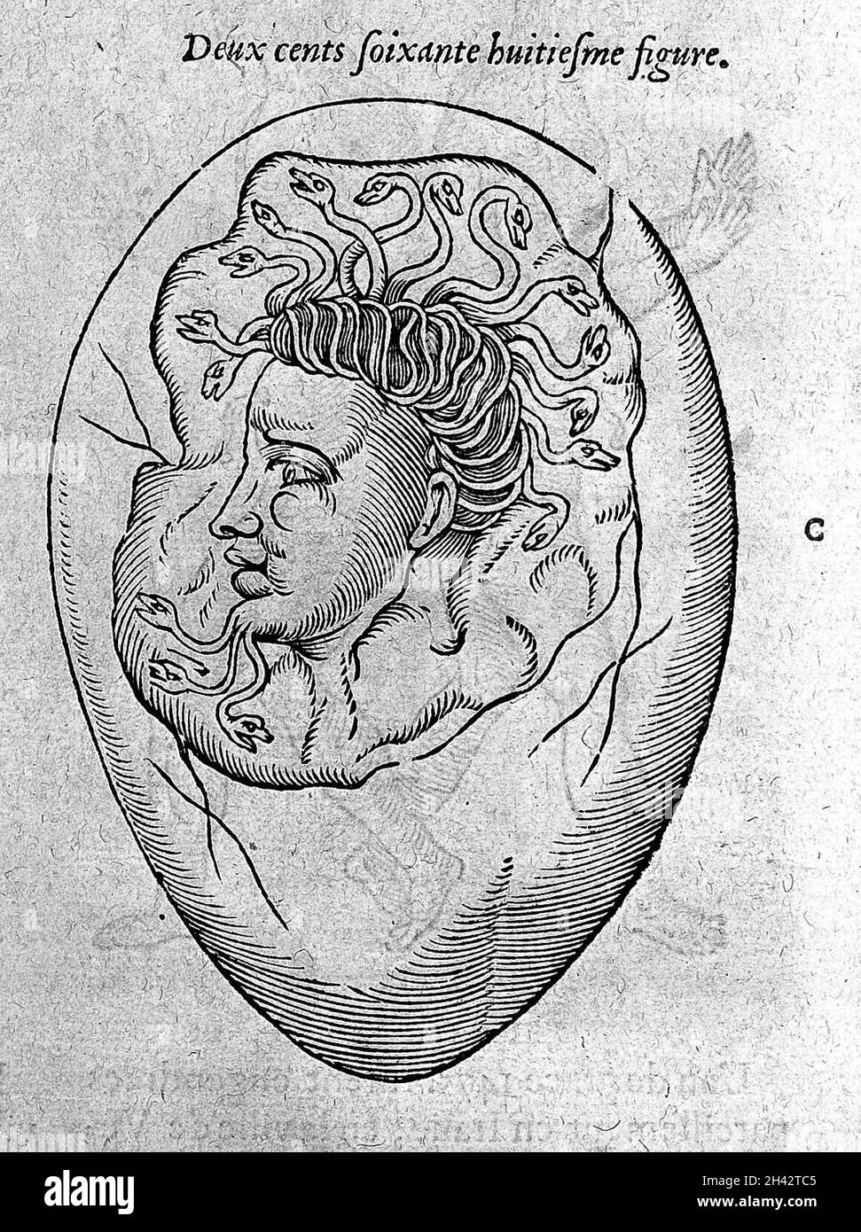 Un œuf avec une tête humaine recouverte de serpents. Banque D'Images
