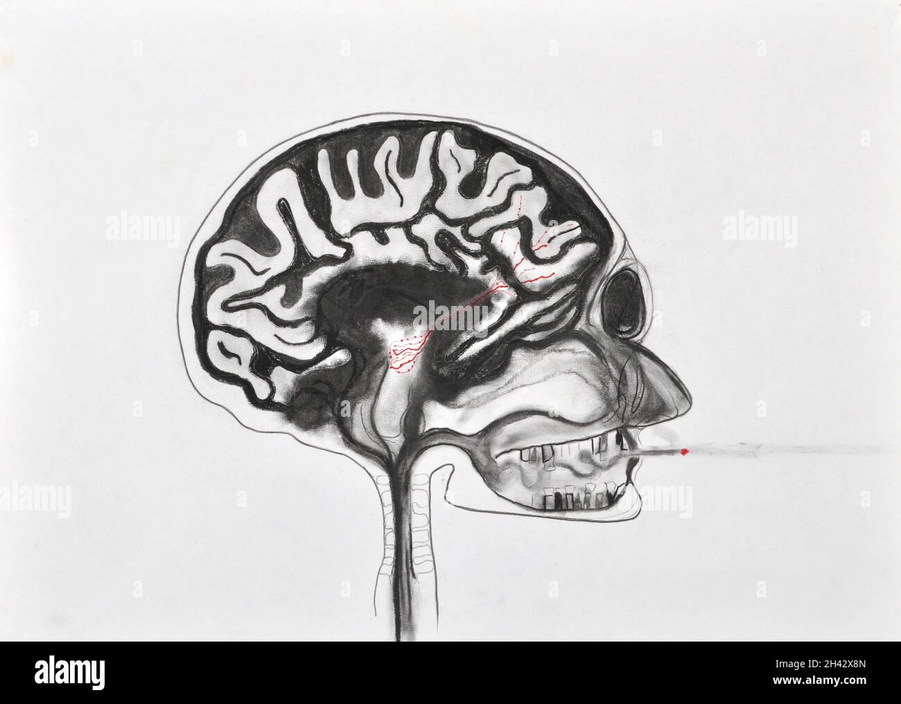 Addiction et voies de récompense dans le cerveau, l'art Banque D'Images