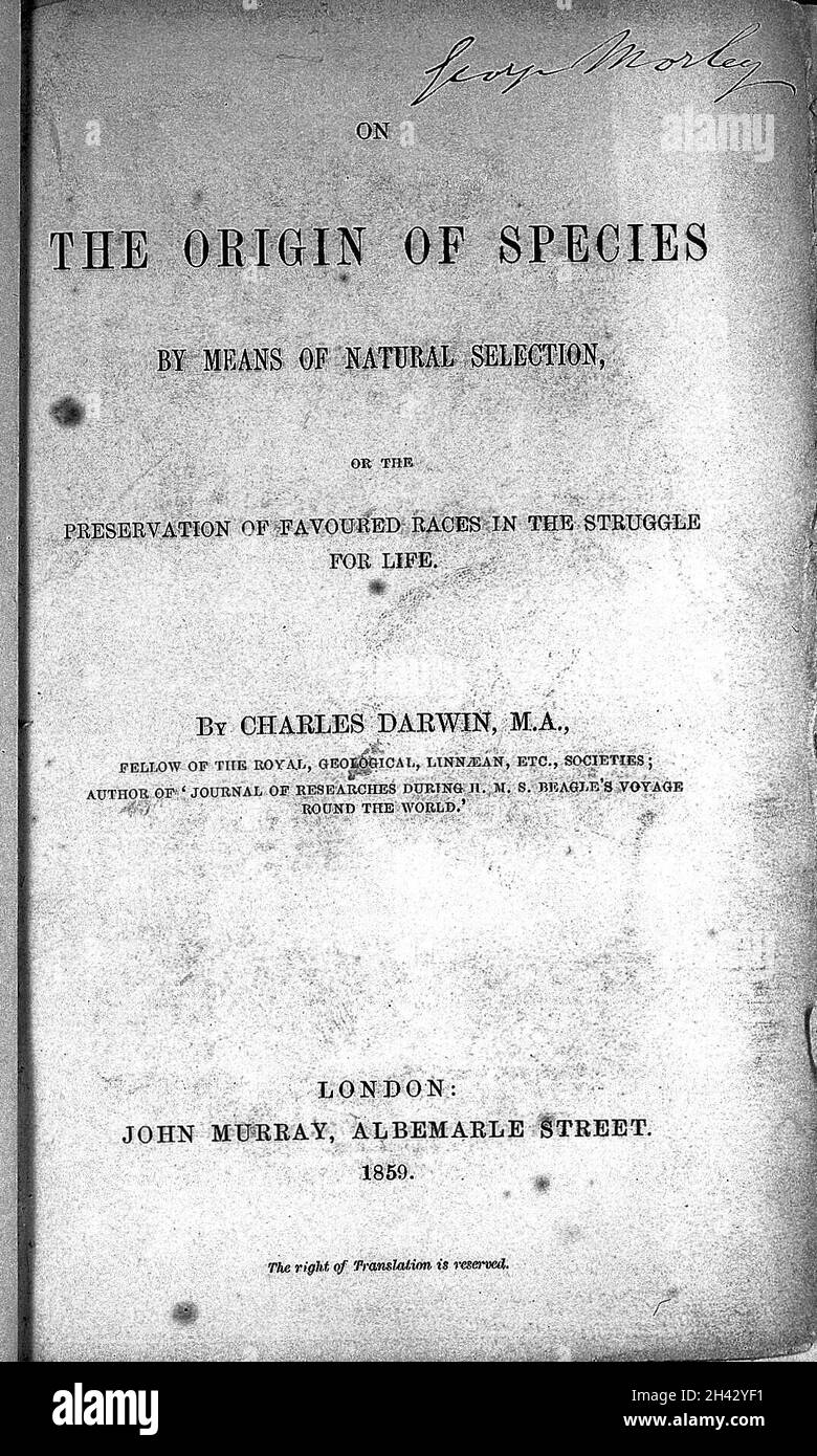 Sur l'origine des espèces, par Charles Darwin Banque D'Images