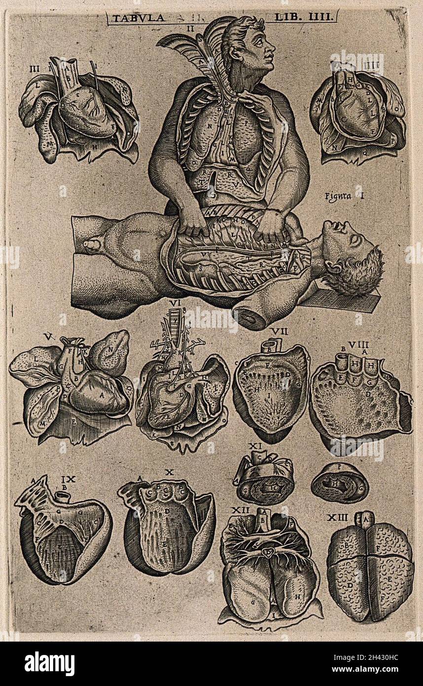 Deux figures avec leur cavité thoracique exposée, l'une dissectant l'autre (figues I-II), avec des illustrations principalement du coeur (figues III-XI) et deux des poumons (figues XII-XIII).Gravure, 1568. Banque D'Images