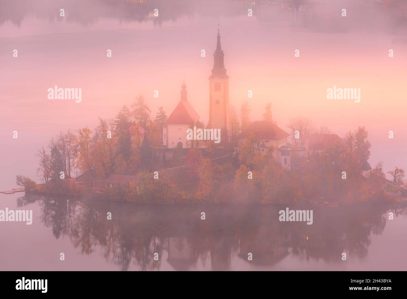 Vue aérienne du matin au lever du soleil sur le lac Bled avec l'église Saint-Marys, la Slovénie dans le brouillard et les arbres d'automne Banque D'Images