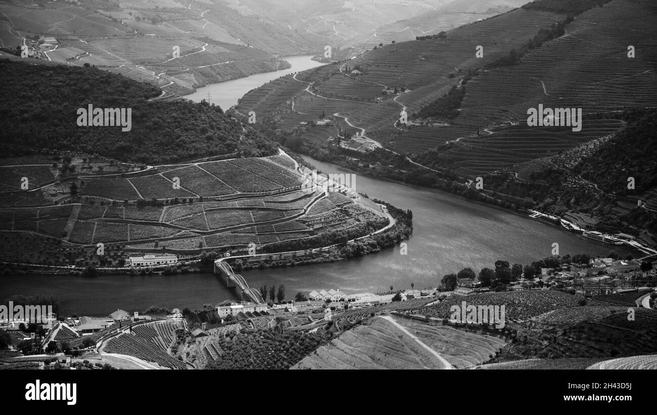 Vue sur le fleuve, et les vignobles sont sur une colline, la vallée du Douro, Portugal.Photo en noir et blanc. Banque D'Images