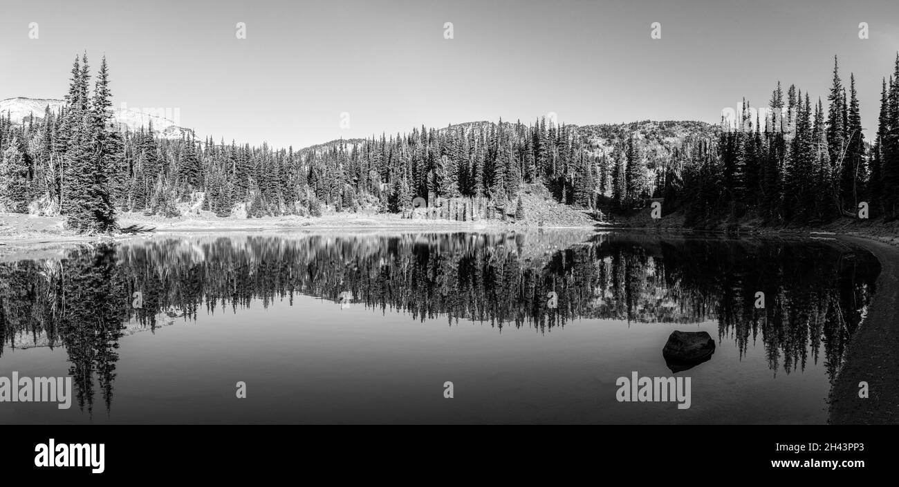 Réflexion panoramique depuis Shadow Lake dans le parc national du Mont Rainier, États-Unis Banque D'Images