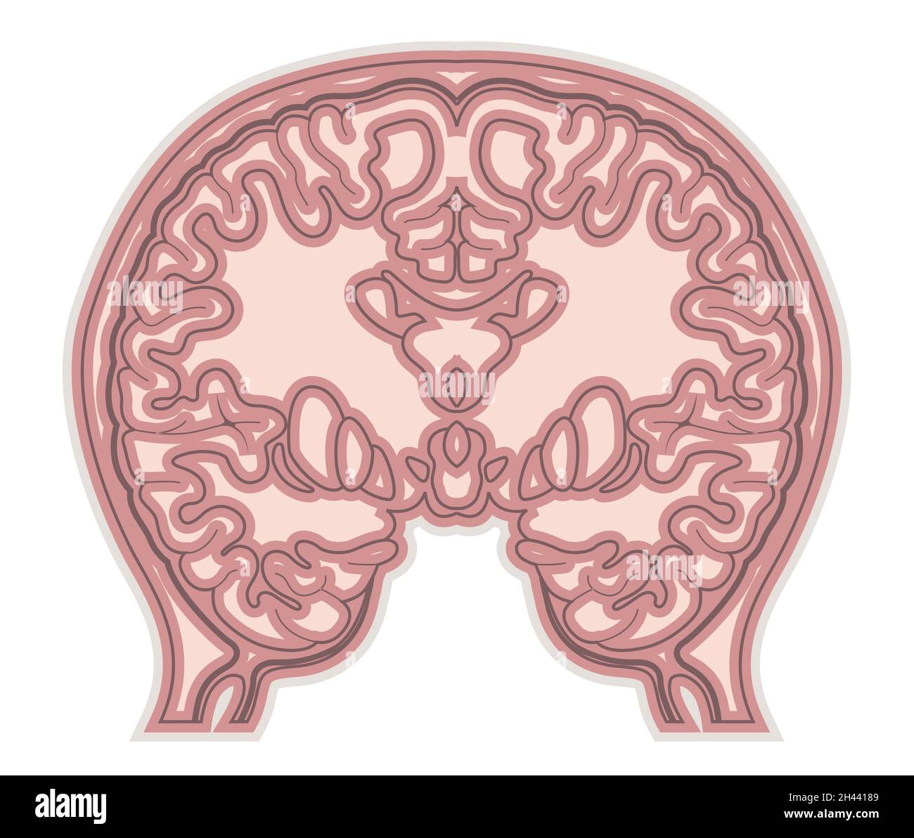 Section transversale du cerveau - Illustration comme fichier EPS 10 Illustration de Vecteur