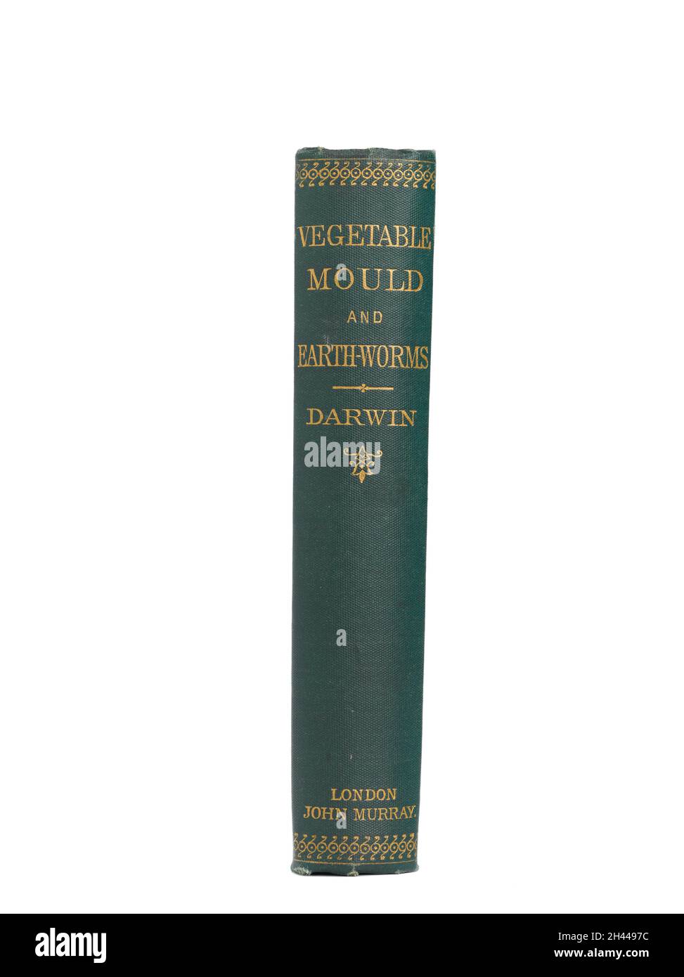 Colonne vertébrale de Darwin « la formation de moisissure végétale... » Banque D'Images