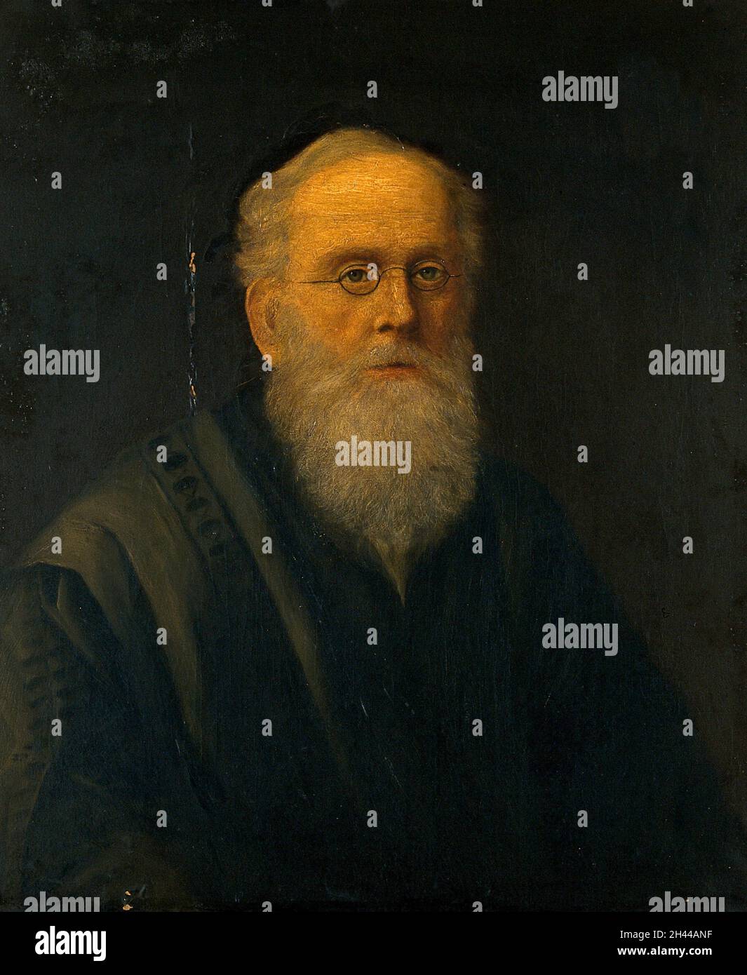 Alfred Russel Wallace (?).Peinture à l'huile. Banque D'Images