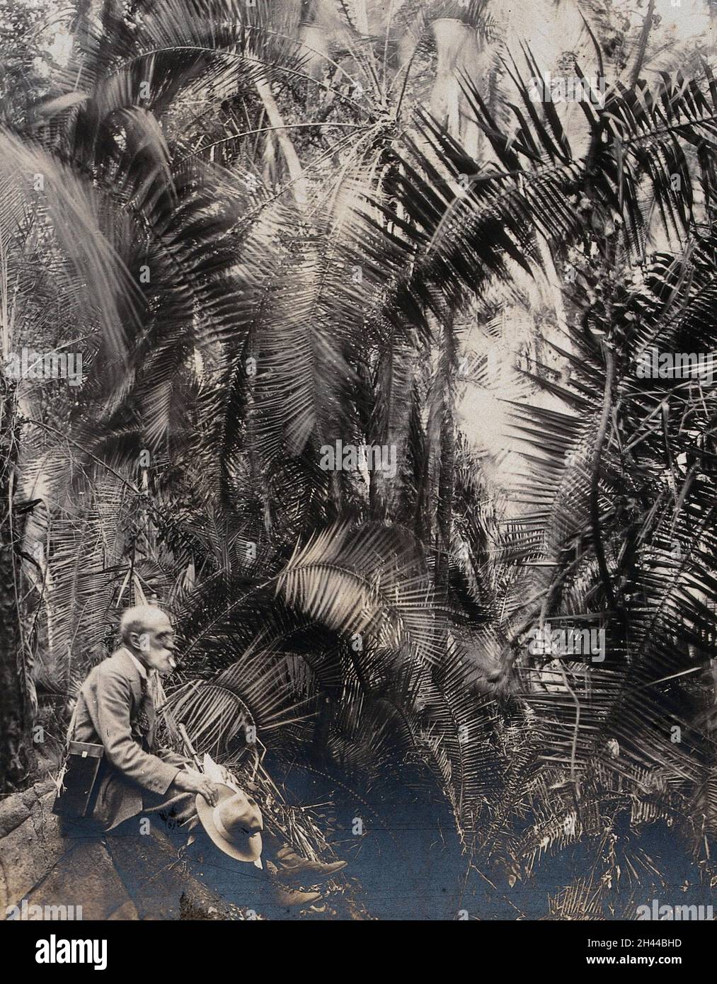 Zimbabwe: Membre de l'Association britannique assis dans un ravin de palme.Photographie de l'honorable Geoffrey L. Parsons, 1905. Banque D'Images