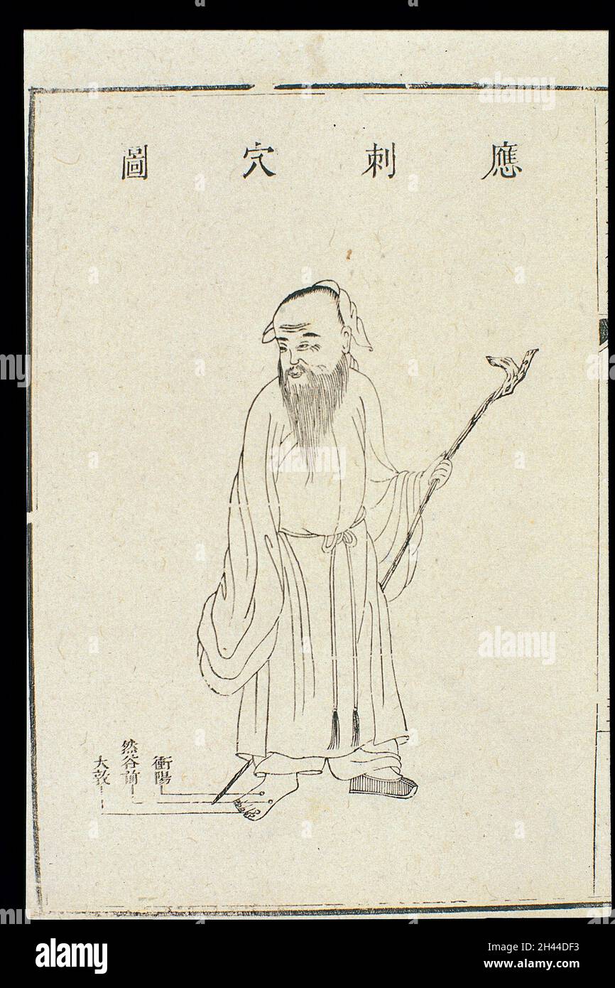 Chinois C18 coupe de bois: Tongmu splint Banque D'Images