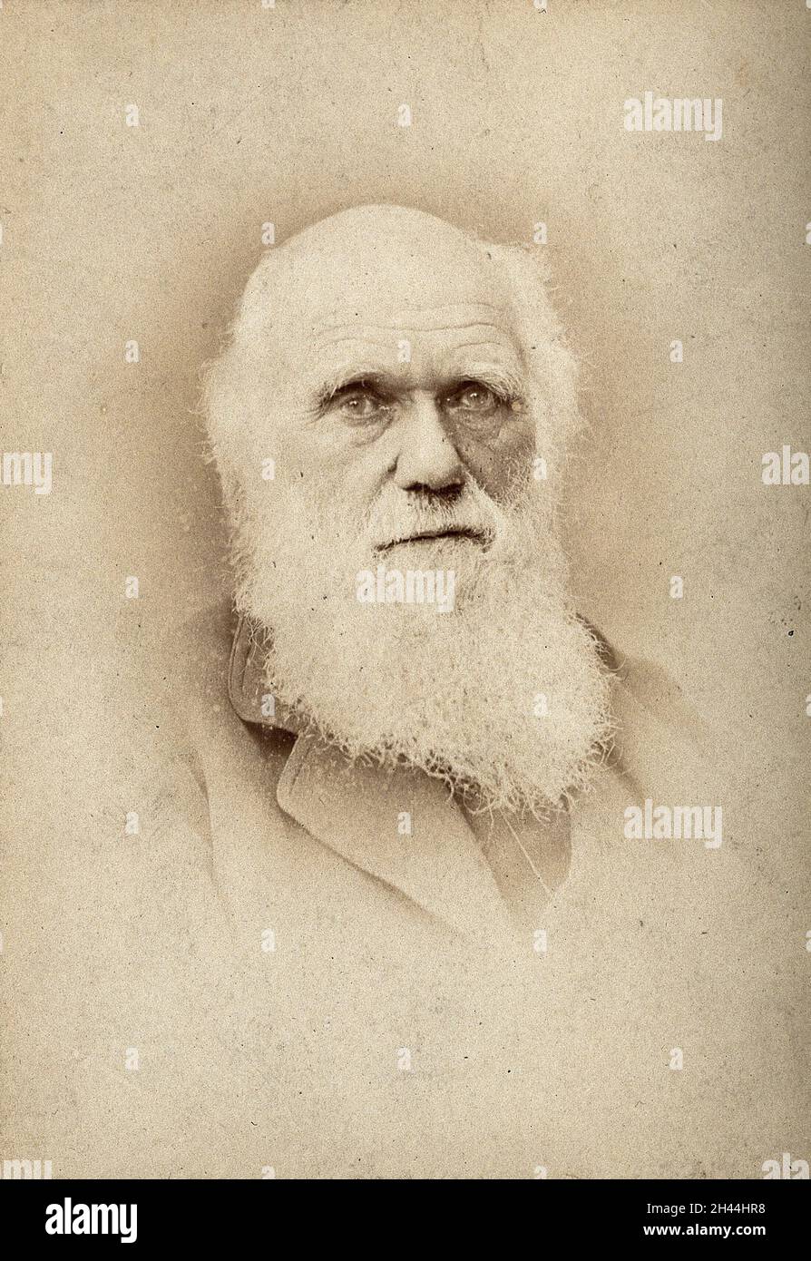 Charles Robert Darwin.Photographie de Barraud. Banque D'Images