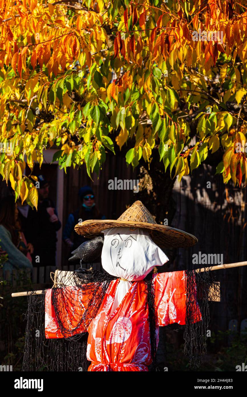 Fracas japonais dans le jardin de la maison Murakami au complexe Britannia Ship Yard à Steveston Colombie-Britannique Canada Banque D'Images