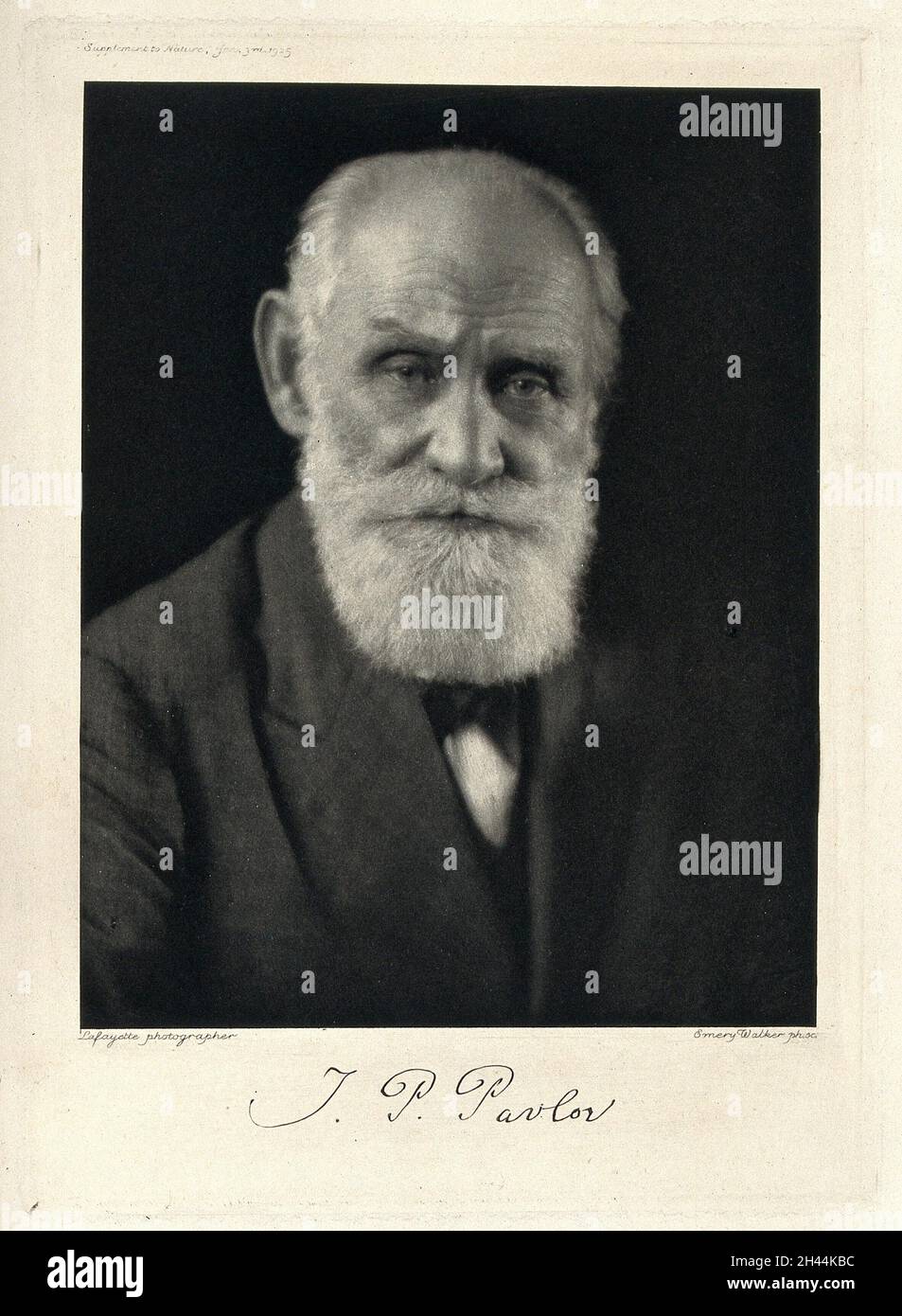 Ivan Petrovitch Pavlov.Photo après Lafayette Ltd. Banque D'Images