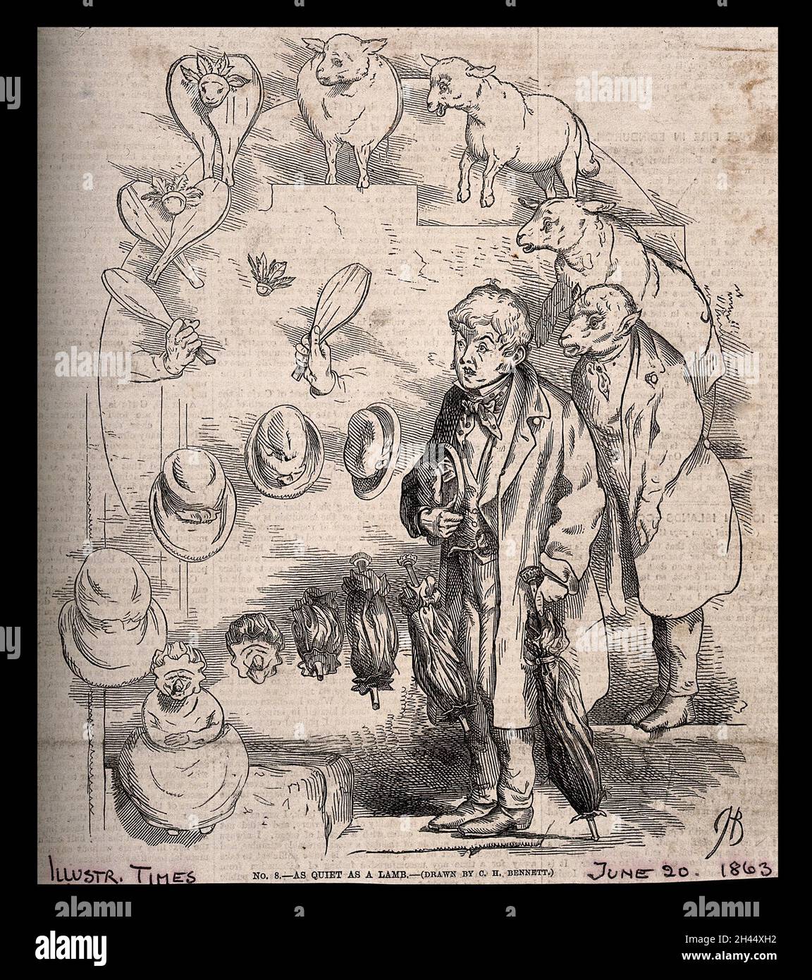 L Evolution D Un Shuttlecock Et De Chauves Souris En Un Mouton En Un Jeune Homme Timide Et Son Chapeau En Un Bebe Dans Son Parapluie Representant Les Theories De Darwin Gravure De Bois D Apres C