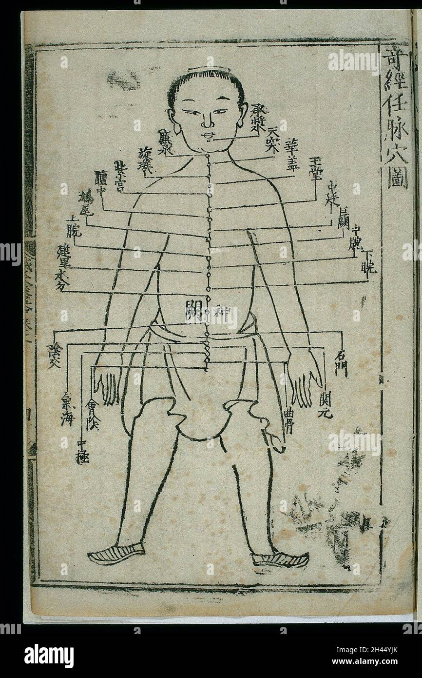 Carte d'acupuncture, renmai (le navire directeur) Banque D'Images