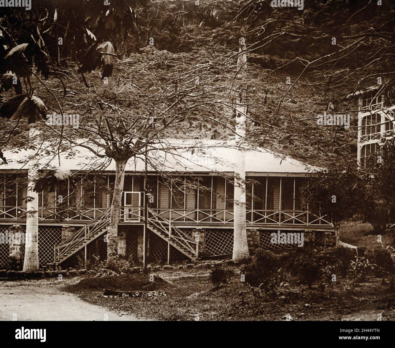Panama: Une maison en bois avec une véranda enveloppante fermée.Photographie, 1900/1920. Banque D'Images