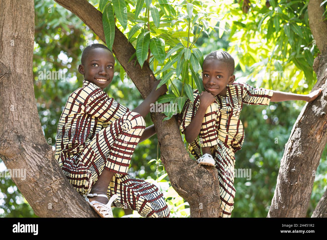 Deux adorables garçons africains noirs en robe double assis sur un manguier posant pour la caméra Banque D'Images
