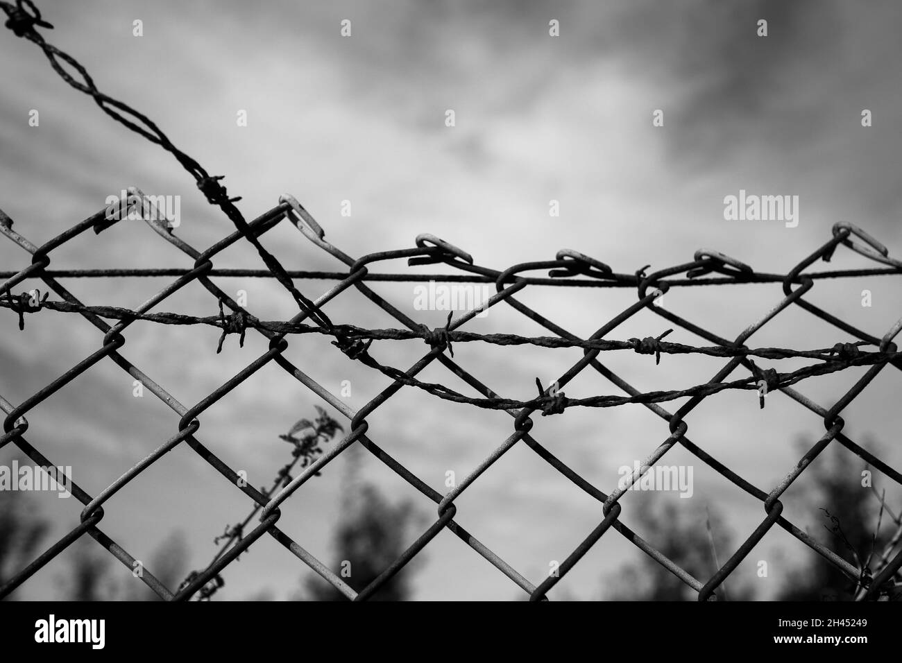 Clôture barbelée à la frontière d'une propriété Banque D'Images