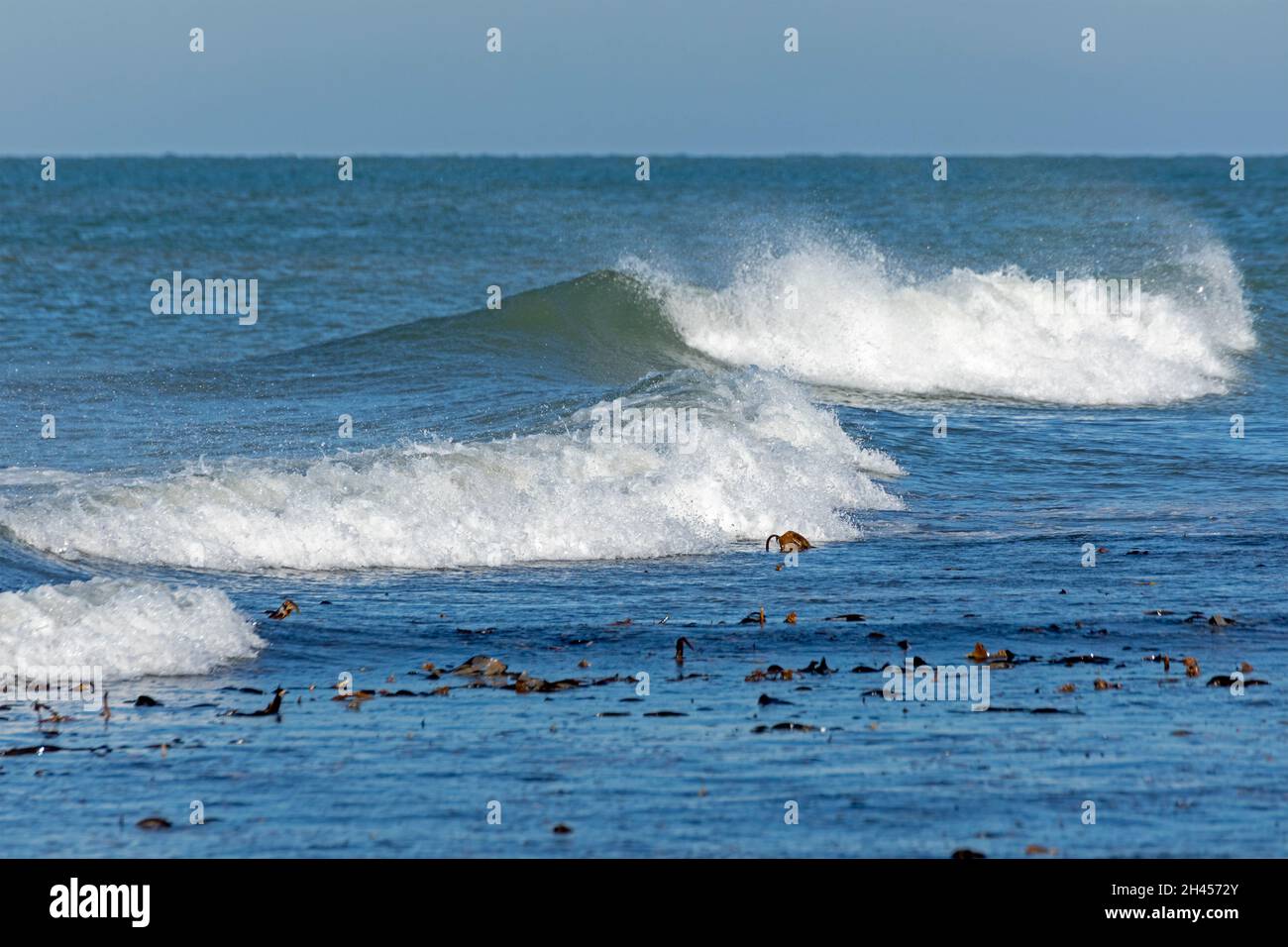 Vagues au large de la Düne, île d'Heligoland, Schleswig-Holstein, Allemagne Banque D'Images