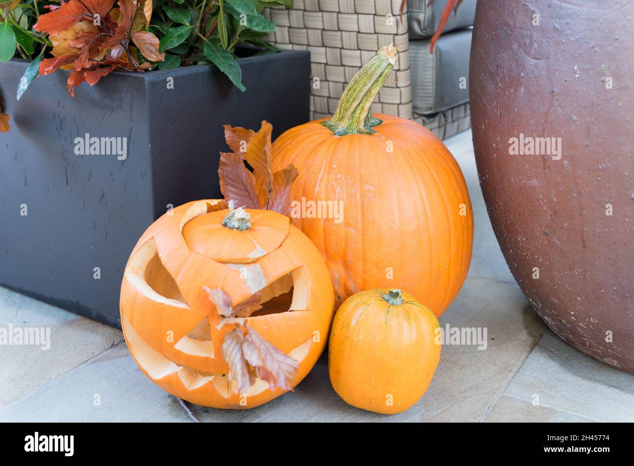 Trois différentes tailles de citrouilles sculptées à Halloween Night Londres Angleterre Royaume-Uni Banque D'Images