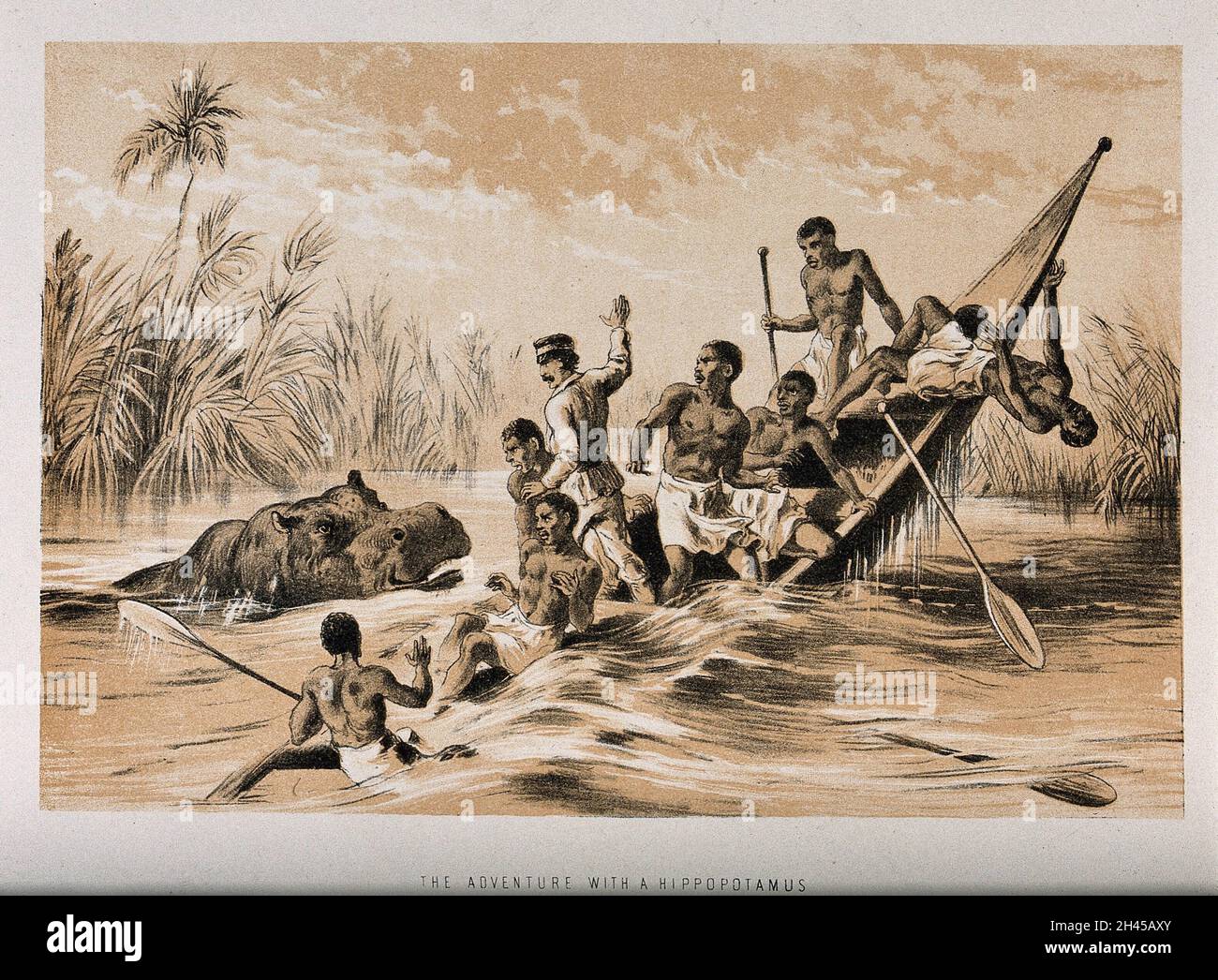 David Livingstone (?)et ses disciples sur un bateau, attaqué par hippopotame.Lithographie. Banque D'Images