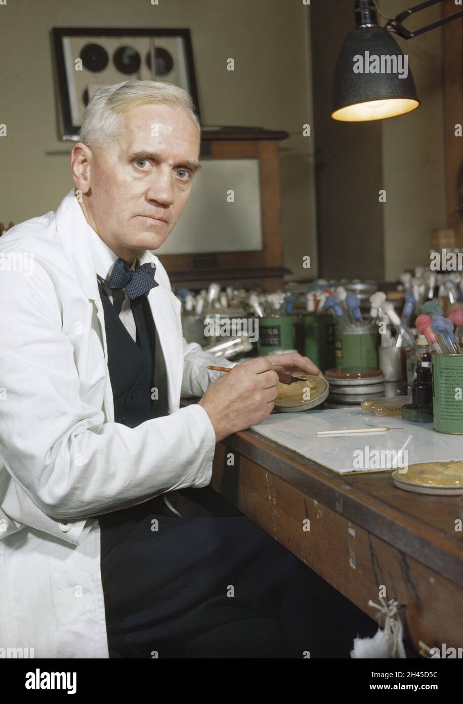 Le bactériologue britannique Alexander Fleming travaille dans son laboratoire Banque D'Images