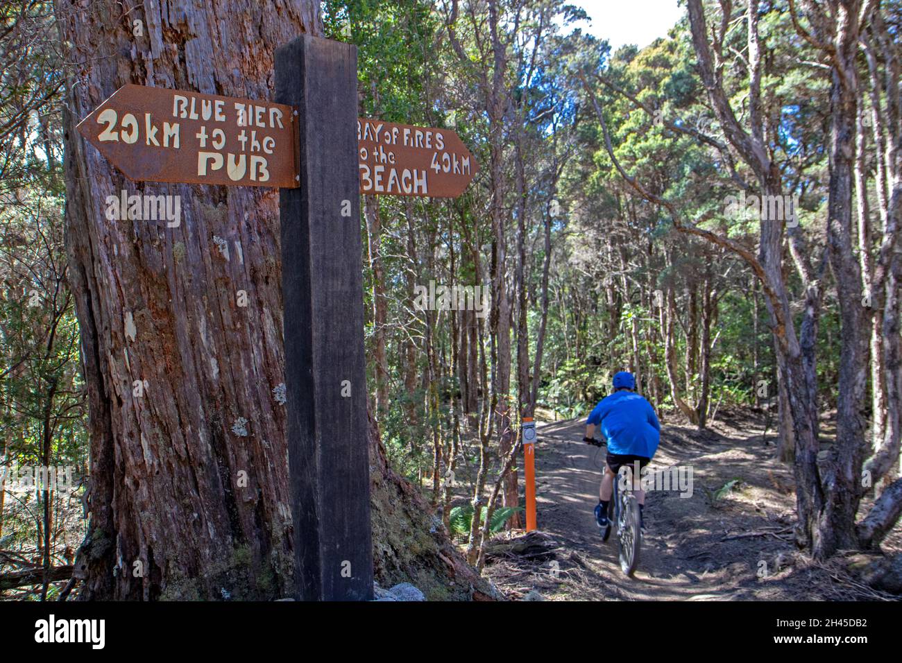 Panneau Trail sur le réseau de VTT Blue Derby Banque D'Images