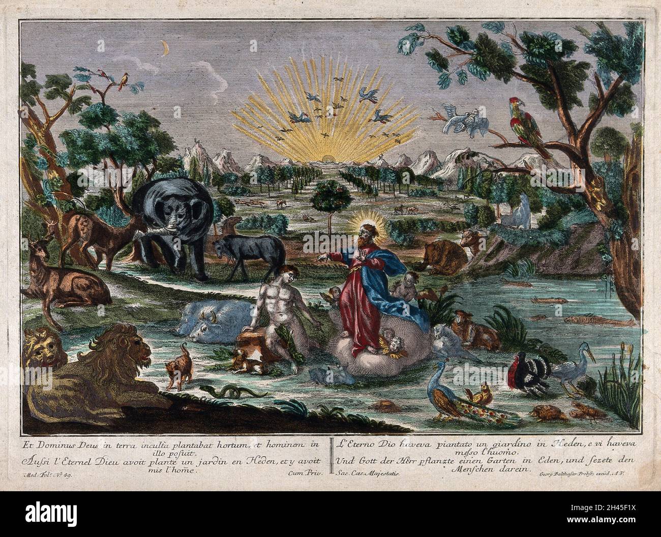 Dieu crée l'homme dans le jardin d'Eden.Gravure colorée, 17--. Banque D'Images