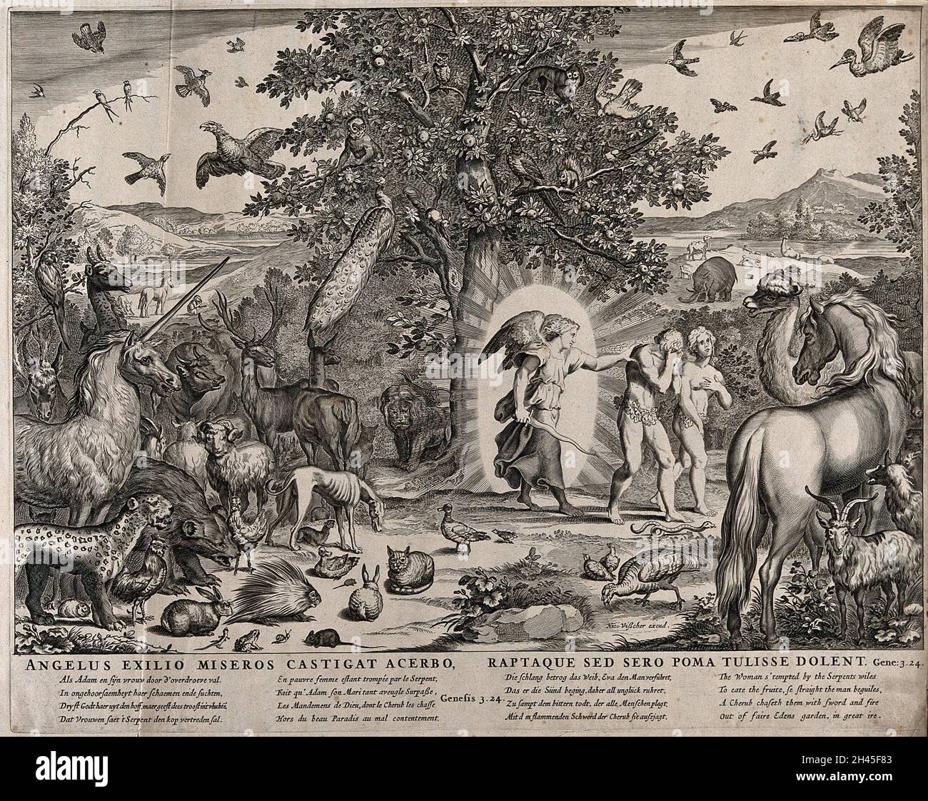 Les animaux regardent alors que l'ange expulse Adam et Eve du paradis.Gravure par C.J.Visscher. Banque D'Images