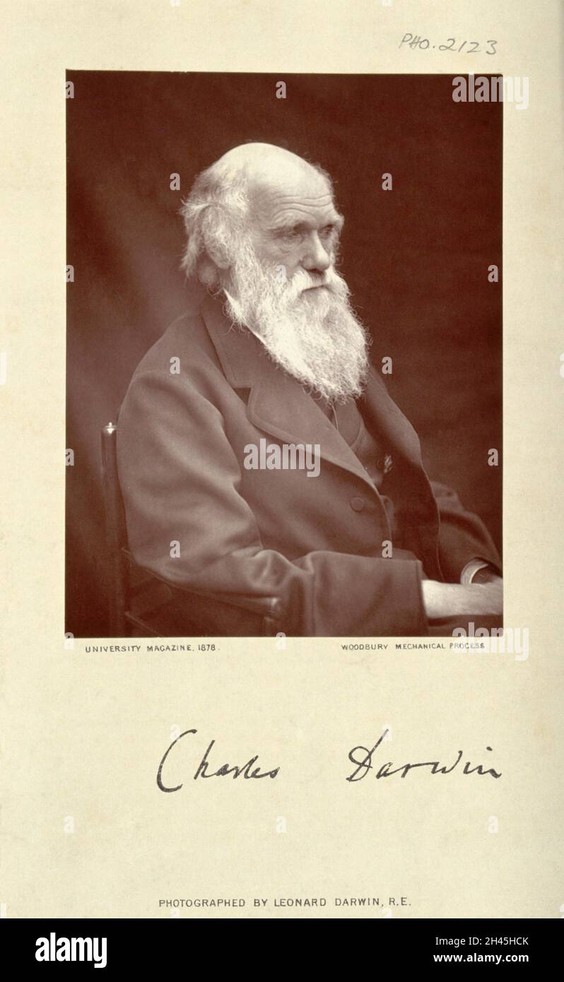 Charles Robert Darwin.Photographie de L. Darwin. Banque D'Images