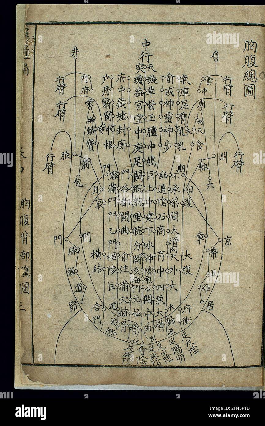Canaux et acupoints du thorax et de l'abdomen Banque D'Images