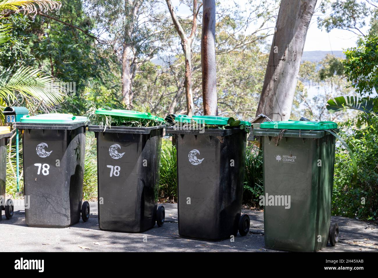 Australie, jardins verdoyants bennes pleines de déchets de jardin et de végétation dans la rue en attente de la collecte du conseil, Avalon Beach faubourg à Sydney, Australie Banque D'Images