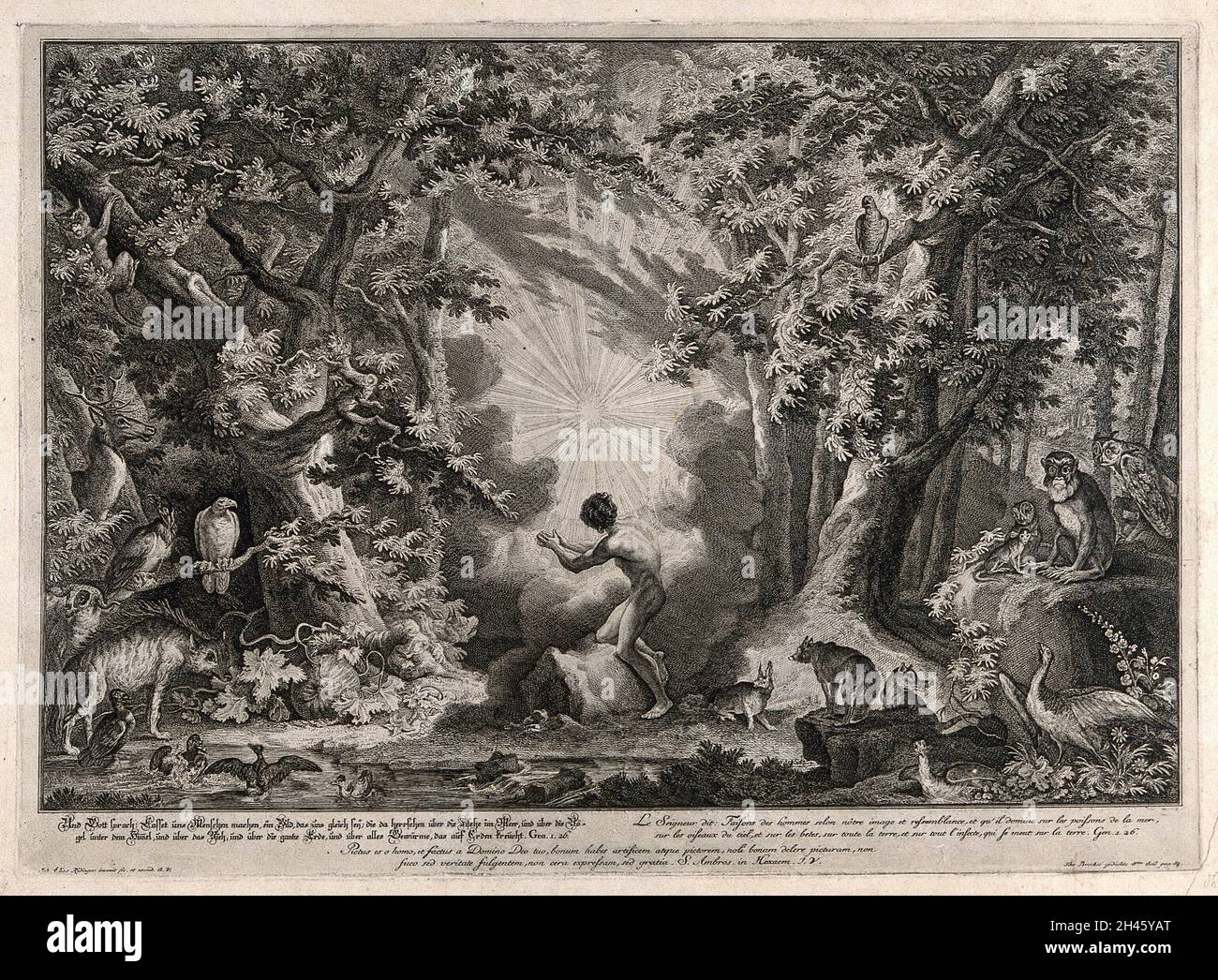 Une lumière aveuglante descend sur Eden dans la création de l'homme et des animaux.Gravure par J.E.Ridinger après lui, c.1750. Banque D'Images