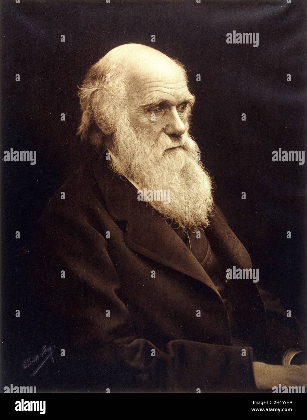 Photographie portrait de Charles Darwin Banque D'Images