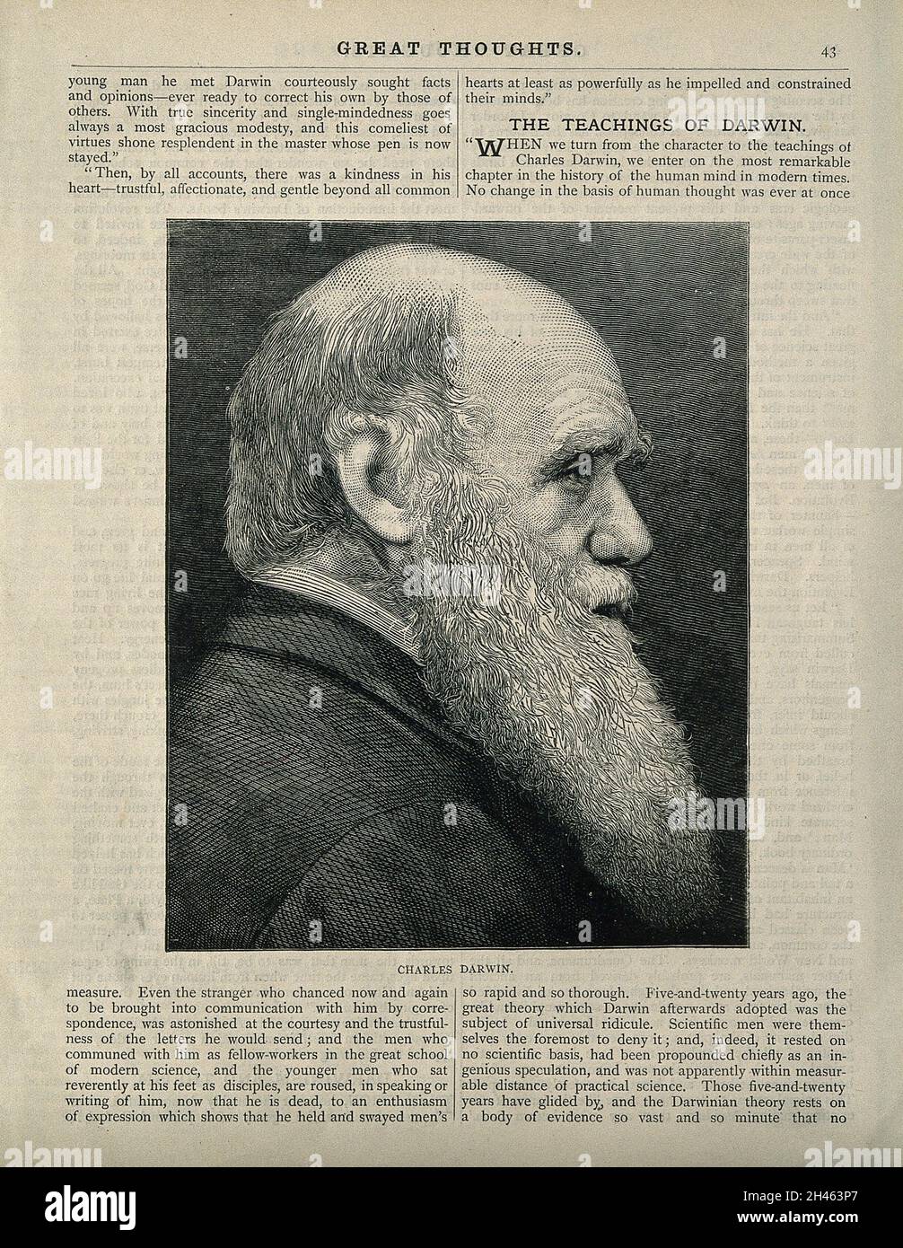 Charles Robert Darwin.Gravure en bois. Banque D'Images