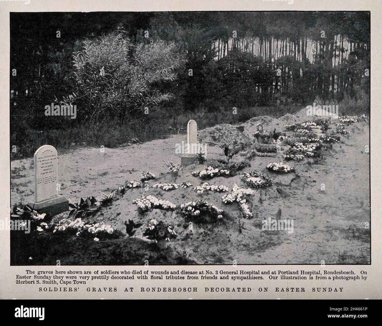 Guerre de Boer : tombes des soldats à Rondesbosch décorées d'hommages floraux pour Pâques.Demi-ton, c.1900, après H. S. Smith. Banque D'Images