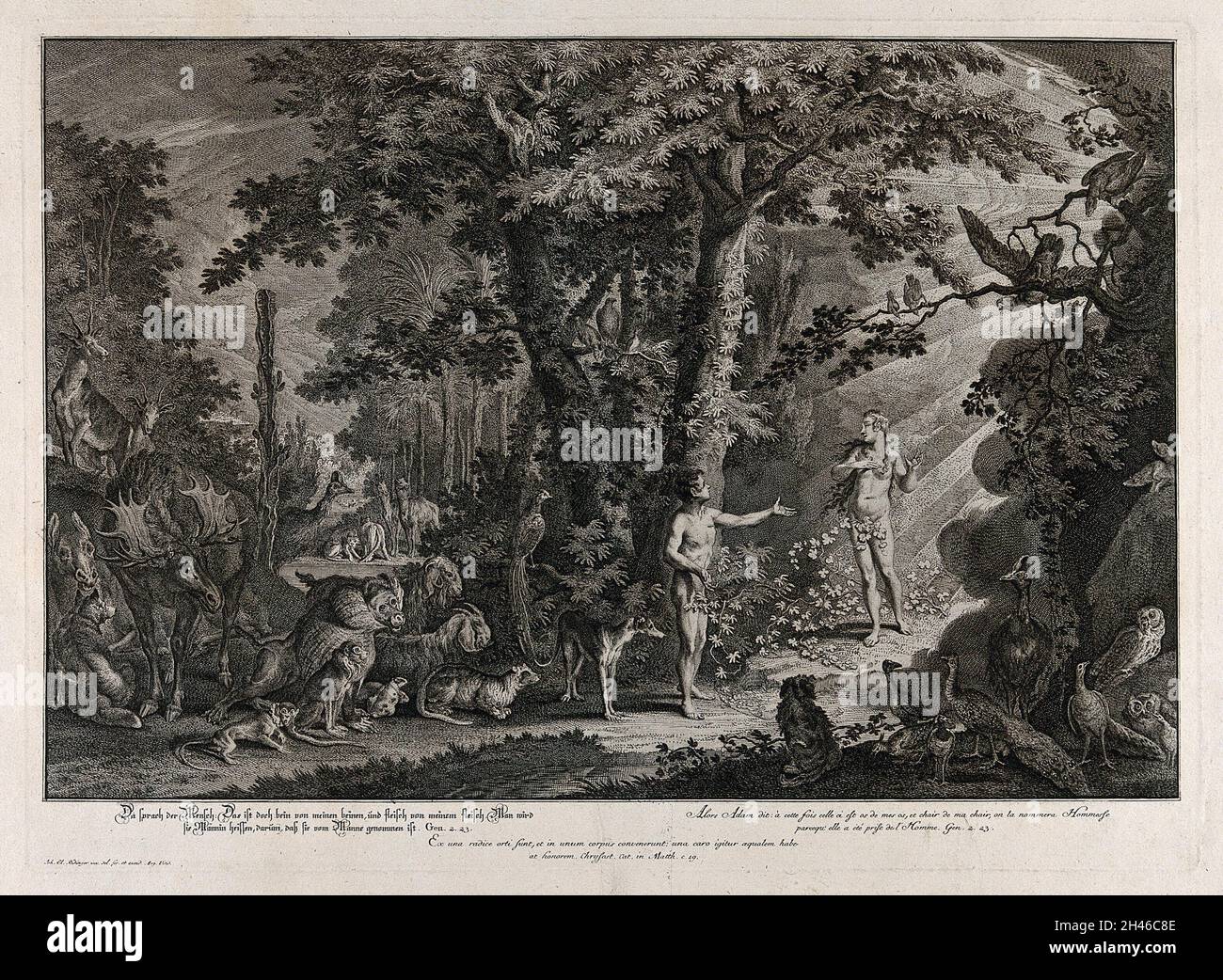 Adam se dirige vers une Eve rayonnante, chair de sa chair.Gravure par J.E.Ridinger après lui, c.1750. Banque D'Images
