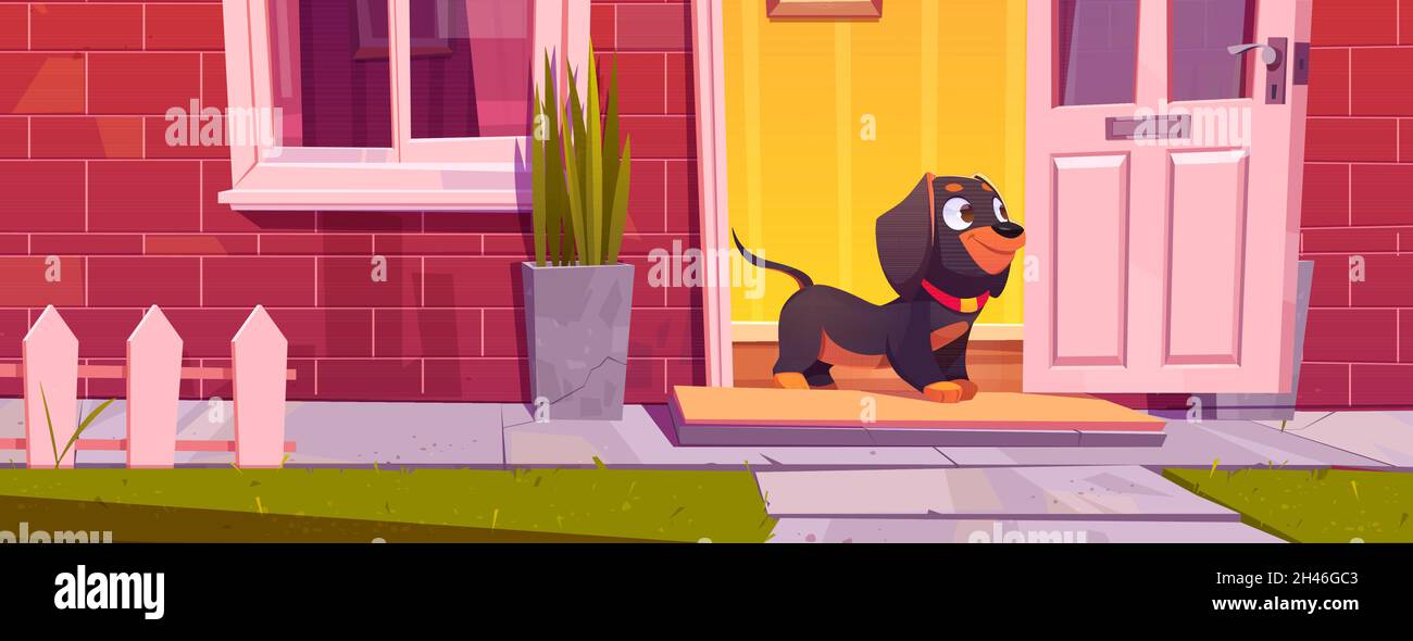 Un adorable support pour chien de style dachshund à la porte de la maison, un animal de compagnie se promener.Dessin animé animal domestique personnage drôle à la porte du cottage avec fenêtre, brique rouge et clôture, chiot à la maison à l'extérieur, illustration vectorielle Illustration de Vecteur