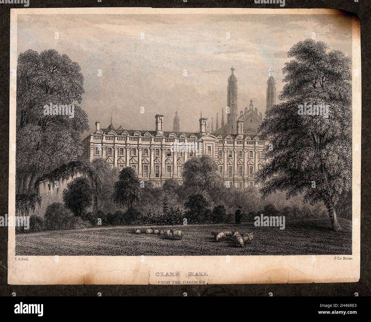 Clare College, Cambridge : vue de l'arrière.Gravure de ligne par J. le Keux après I.A. Bell. Banque D'Images