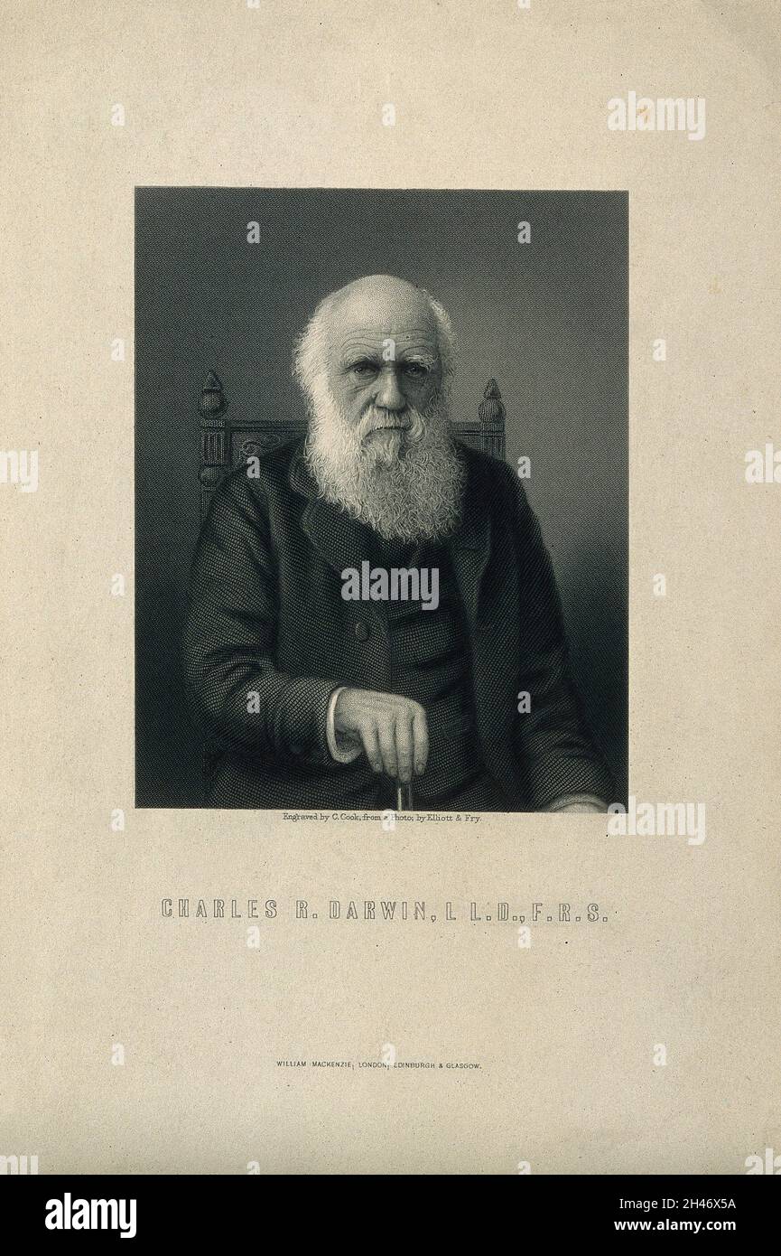 Charles Robert Darwin.Gravure en ligne par C. Cook après Elliot & Fry. Banque D'Images